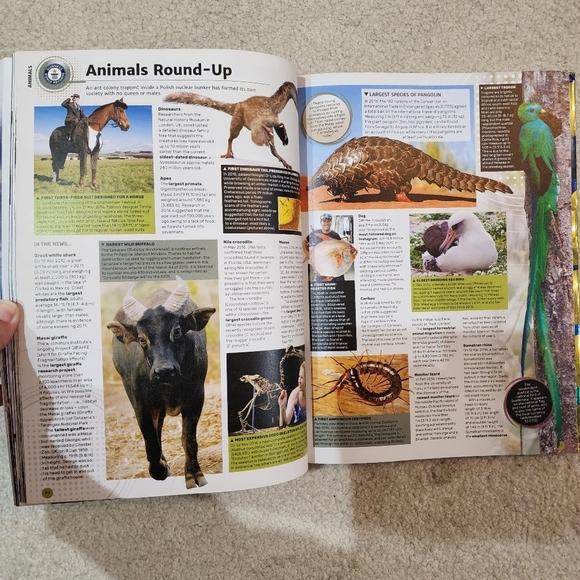 Guinness book of world records book 2018 - Picture 3 of 5